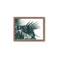 Picture of Behind the Leaves _GroupedProduct_Rectangle_Landscape_Photography _GroupedProduct_Rectangle_Landscape_Framed_Matted_