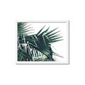 Picture of Behind the Leaves _GroupedProduct_Rectangle_Landscape_Photography _GroupedProduct_Rectangle_Landscape_Framed_Matted_