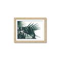 Picture of Behind the Leaves _GroupedProduct_Rectangle_Landscape_Photography _GroupedProduct_Rectangle_Landscape_Framed_Matted_