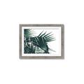 Picture of Behind the Leaves _GroupedProduct_Rectangle_Landscape_Photography _GroupedProduct_Rectangle_Landscape_Framed_Matted_