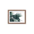 Picture of Behind the Leaves _GroupedProduct_Rectangle_Landscape_Photography _GroupedProduct_Rectangle_Landscape_Framed_Matted_