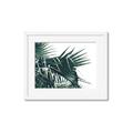 Picture of Behind the Leaves _GroupedProduct_Rectangle_Landscape_Photography _GroupedProduct_Rectangle_Landscape_Framed_Matted_
