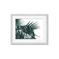 Picture of Behind the Leaves _GroupedProduct_Rectangle_Landscape_Photography _GroupedProduct_Rectangle_Landscape_Framed_Matted_