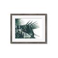 Picture of Behind the Leaves _GroupedProduct_Rectangle_Landscape_Photography _GroupedProduct_Rectangle_Landscape_Framed_Matted_