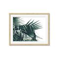 Picture of Behind the Leaves _GroupedProduct_Rectangle_Landscape_Photography _GroupedProduct_Rectangle_Landscape_Framed_Matted_