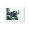 Picture of Behind the Leaves _GroupedProduct_Rectangle_Landscape_Photography _GroupedProduct_Rectangle_Landscape_Framed_Matted_