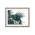 Picture of Behind the Leaves _GroupedProduct_Rectangle_Landscape_Photography _GroupedProduct_Rectangle_Landscape_Framed_Matted_