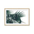 Picture of Behind the Leaves _GroupedProduct_Rectangle_Landscape_Photography _GroupedProduct_Rectangle_Landscape_Framed_Matted_