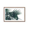 Picture of Behind the Leaves _GroupedProduct_Rectangle_Landscape_Photography _GroupedProduct_Rectangle_Landscape_Framed_Matted_