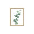 Picture of Green Eucalyptus I _GroupedProduct_Rectangle_Portrait_Framed_Matted_