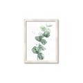 Picture of Green Eucalyptus I _GroupedProduct_Rectangle_Portrait_Framed_Matted_