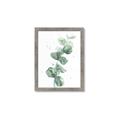 Picture of Green Eucalyptus I _GroupedProduct_Rectangle_Portrait_Framed_Matted_
