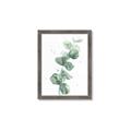 Picture of Green Eucalyptus I _GroupedProduct_Rectangle_Portrait_Framed_Matted_