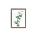 Picture of Green Eucalyptus I _GroupedProduct_Rectangle_Portrait_Framed_Matted_
