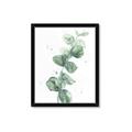 Picture of Green Eucalyptus I _GroupedProduct_Rectangle_Portrait_Framed_Matted_