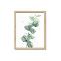 Picture of Green Eucalyptus I _GroupedProduct_Rectangle_Portrait_Framed_Matted_