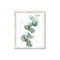 Picture of Green Eucalyptus I _GroupedProduct_Rectangle_Portrait_Framed_Matted_