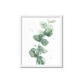 Picture of Green Eucalyptus I _GroupedProduct_Rectangle_Portrait_Framed_Matted_