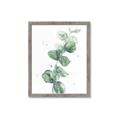 Picture of Green Eucalyptus I _GroupedProduct_Rectangle_Portrait_Framed_Matted_