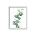 Picture of Green Eucalyptus I _GroupedProduct_Rectangle_Portrait_Framed_Matted_