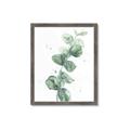 Picture of Green Eucalyptus I _GroupedProduct_Rectangle_Portrait_Framed_Matted_