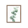 Picture of Green Eucalyptus I _GroupedProduct_Rectangle_Portrait_Framed_Matted_
