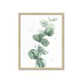 Picture of Green Eucalyptus I _GroupedProduct_Rectangle_Portrait_Framed_Matted_