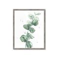 Picture of Green Eucalyptus I _GroupedProduct_Rectangle_Portrait_Framed_Matted_