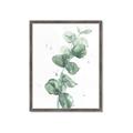 Picture of Green Eucalyptus I _GroupedProduct_Rectangle_Portrait_Framed_Matted_