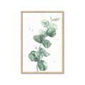 Picture of Green Eucalyptus I _GroupedProduct_Rectangle_Portrait_Framed_Matted_