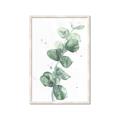 Picture of Green Eucalyptus I _GroupedProduct_Rectangle_Portrait_Framed_Matted_