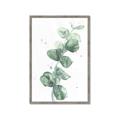 Picture of Green Eucalyptus I _GroupedProduct_Rectangle_Portrait_Framed_Matted_