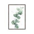 Picture of Green Eucalyptus I _GroupedProduct_Rectangle_Portrait_Framed_Matted_