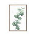 Picture of Green Eucalyptus I _GroupedProduct_Rectangle_Portrait_Framed_Matted_