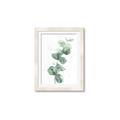Picture of Green Eucalyptus I _GroupedProduct_Rectangle_Portrait_Framed_Matted_