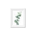 Picture of Green Eucalyptus I _GroupedProduct_Rectangle_Portrait_Framed_Matted_