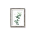 Picture of Green Eucalyptus I _GroupedProduct_Rectangle_Portrait_Framed_Matted_