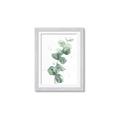 Picture of Green Eucalyptus I _GroupedProduct_Rectangle_Portrait_Framed_Matted_