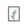 Picture of Green Eucalyptus I _GroupedProduct_Rectangle_Portrait_Framed_Matted_