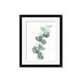 Picture of Green Eucalyptus I _GroupedProduct_Rectangle_Portrait_Framed_Matted_