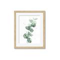 Picture of Green Eucalyptus I _GroupedProduct_Rectangle_Portrait_Framed_Matted_