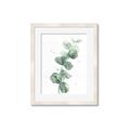 Picture of Green Eucalyptus I _GroupedProduct_Rectangle_Portrait_Framed_Matted_