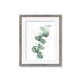 Picture of Green Eucalyptus I _GroupedProduct_Rectangle_Portrait_Framed_Matted_