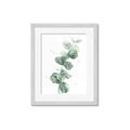 Picture of Green Eucalyptus I _GroupedProduct_Rectangle_Portrait_Framed_Matted_