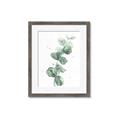Picture of Green Eucalyptus I _GroupedProduct_Rectangle_Portrait_Framed_Matted_