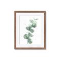 Picture of Green Eucalyptus I _GroupedProduct_Rectangle_Portrait_Framed_Matted_
