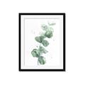 Picture of Green Eucalyptus I _GroupedProduct_Rectangle_Portrait_Framed_Matted_