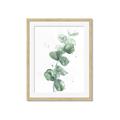 Picture of Green Eucalyptus I _GroupedProduct_Rectangle_Portrait_Framed_Matted_
