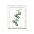 Picture of Green Eucalyptus I _GroupedProduct_Rectangle_Portrait_Framed_Matted_