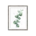 Picture of Green Eucalyptus I _GroupedProduct_Rectangle_Portrait_Framed_Matted_